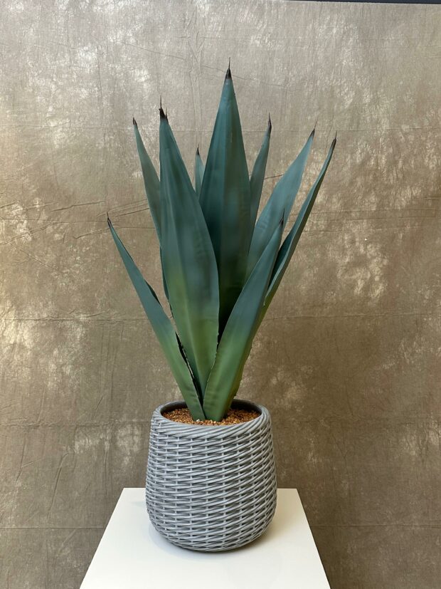 Yapay Sisal Yapraklı Dekoratif Bitki – 115 x 35 cm - Image 3