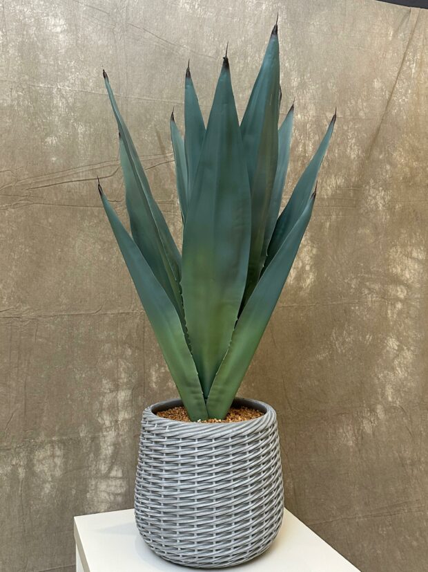 Yapay Sisal Yapraklı Dekoratif Bitki – 115 x 35 cm - Image 2