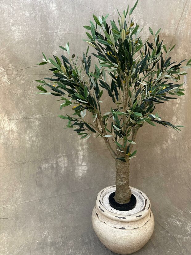 Yapay Zeytin Ağacı – 170 x 51 cm - Image 2